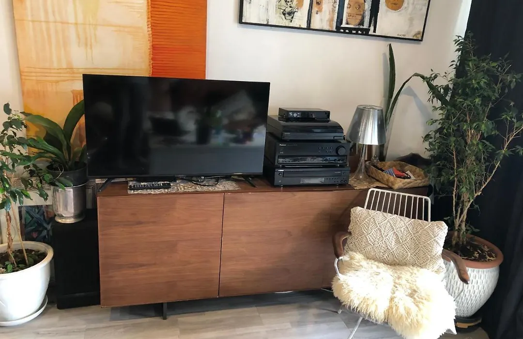 Cool Apartment, Central To Everything, Share With 2X Bulldogs-1