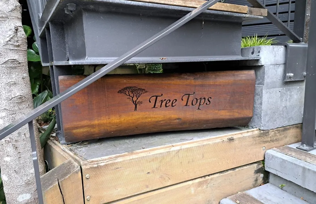Torbay Tree Tops-1