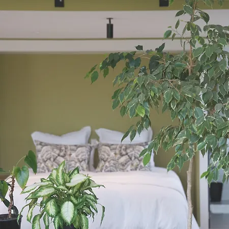 Te Arai Lodge-2