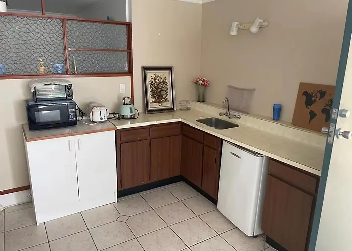 Slow Time Homestay Auckland acceptant les animaux